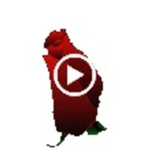 Meet your Posher, Mae